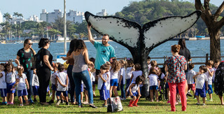 Baleia Jubarte - Pesquisa